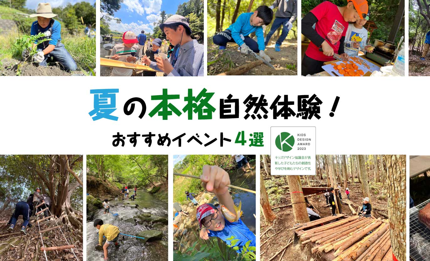 2025 夏休みの本格自然体験！おすすめイベント4選