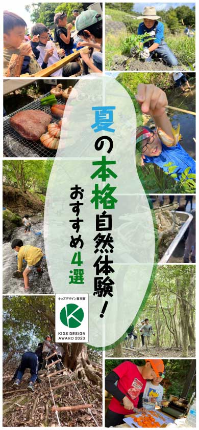 2025 夏休みの本格自然体験！おすすめイベント4選