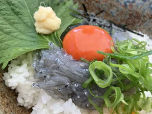 生シラス丼